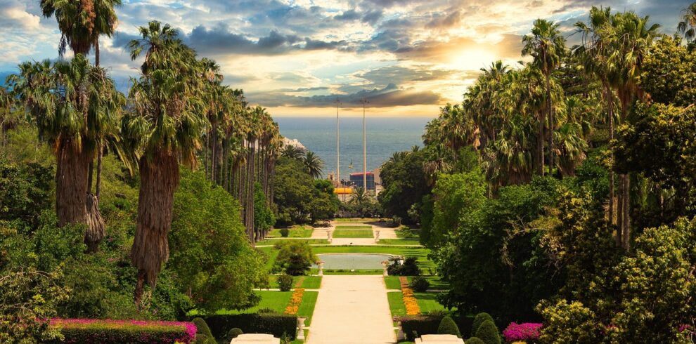 botanical garden, trees, park, woods, plants, garden, tourist attraction, algiers, algeria, algiers, algiers, algiers, algiers, algiers, algeria