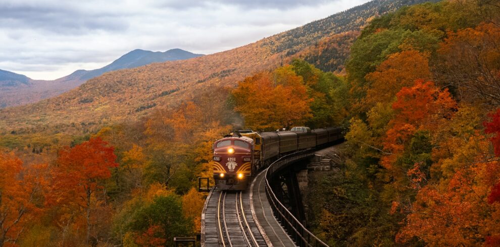 orange train between fall trees