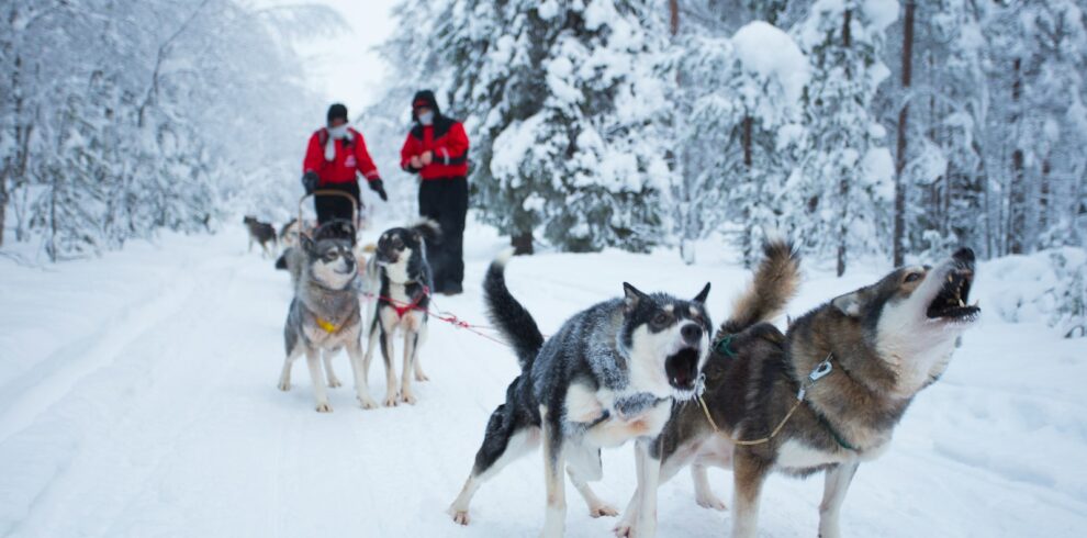 people riding on sled on snow covered ground during daytime